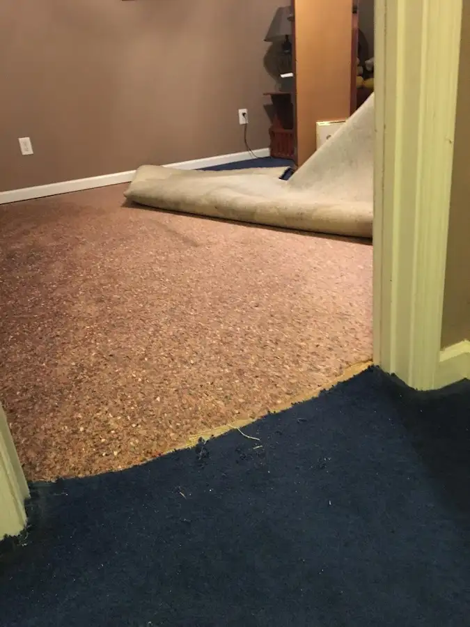 Carpet pad removal revealing water damage during Drying & Dehumidification in Mount Pleasant