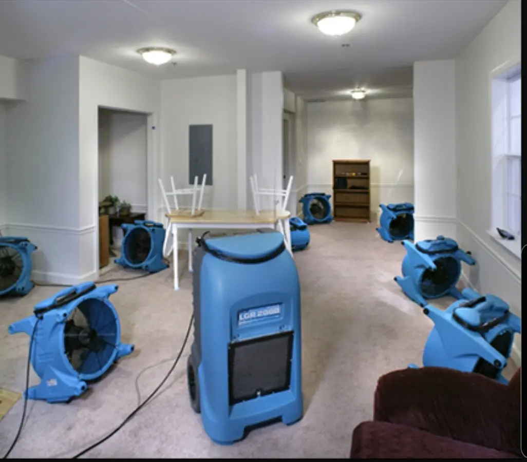 Air movers and dehumidifier setup for Water Extraction & Removal in Mount Pleasant