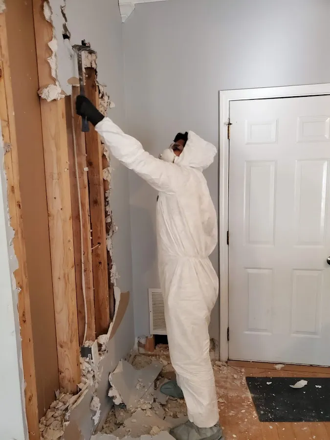 Basement Flood Cleanup in Mount Pleasant, MI